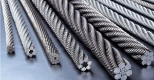 䓽z�K��ʹ�����Լ�Ҫ������(ji��n)��