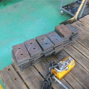 2018111102 ���������^