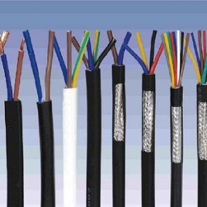 ������|����|���N��е�һ�N��ʲô�ǿ�����|��